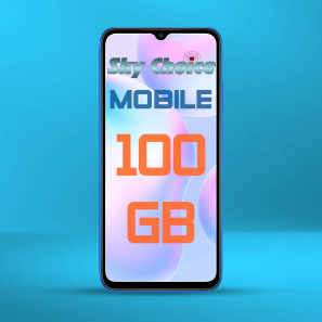 MobPhonePlanLogo_100GB.png